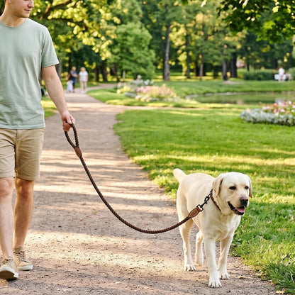 Dog Leash Braided Cotton Rope with Leather-Reinforced Ends