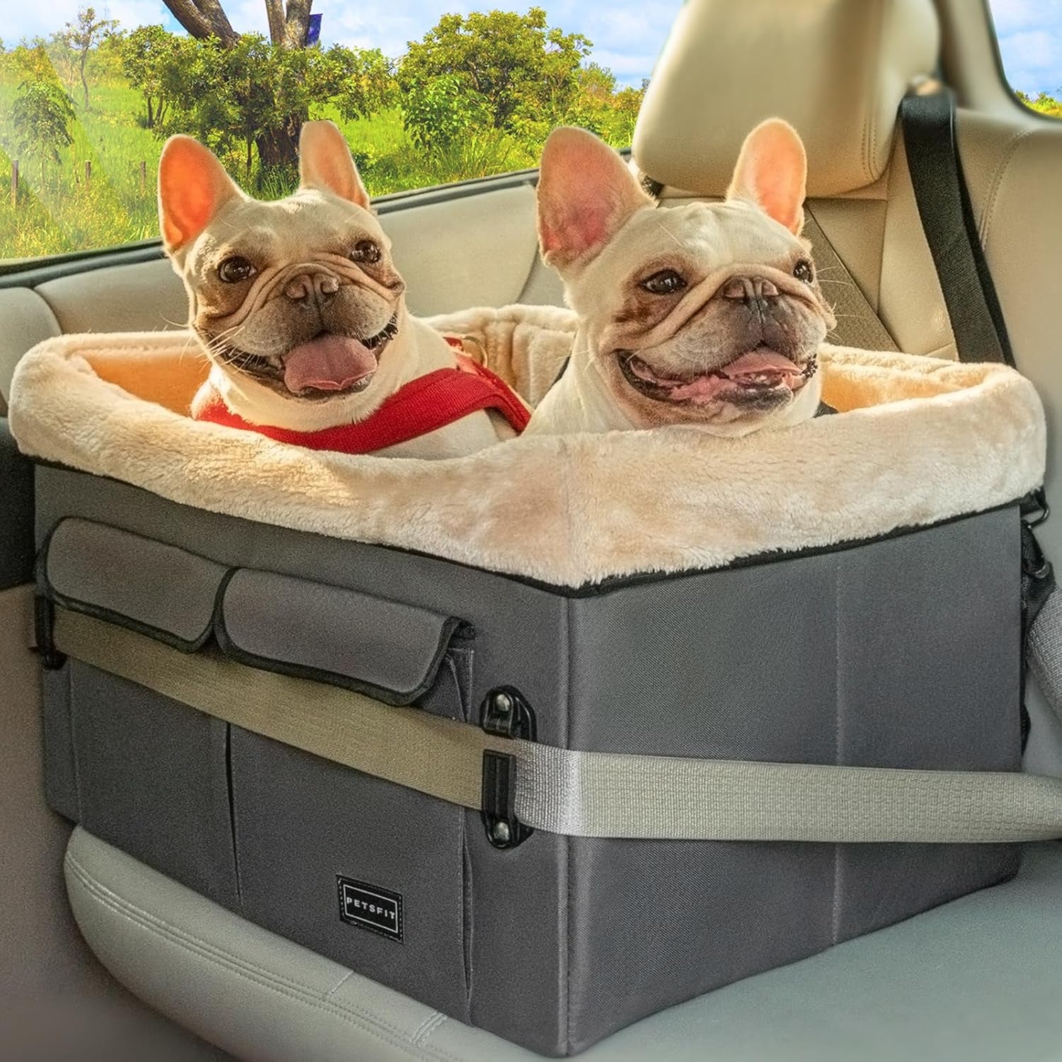 Dog Car Seat for Medium Dogs or 2 Small Dogs, Upgraded Dog Booster Car Seat for Front and Back Seats with 2 Safety Leashes (Medium, Deep Grey)